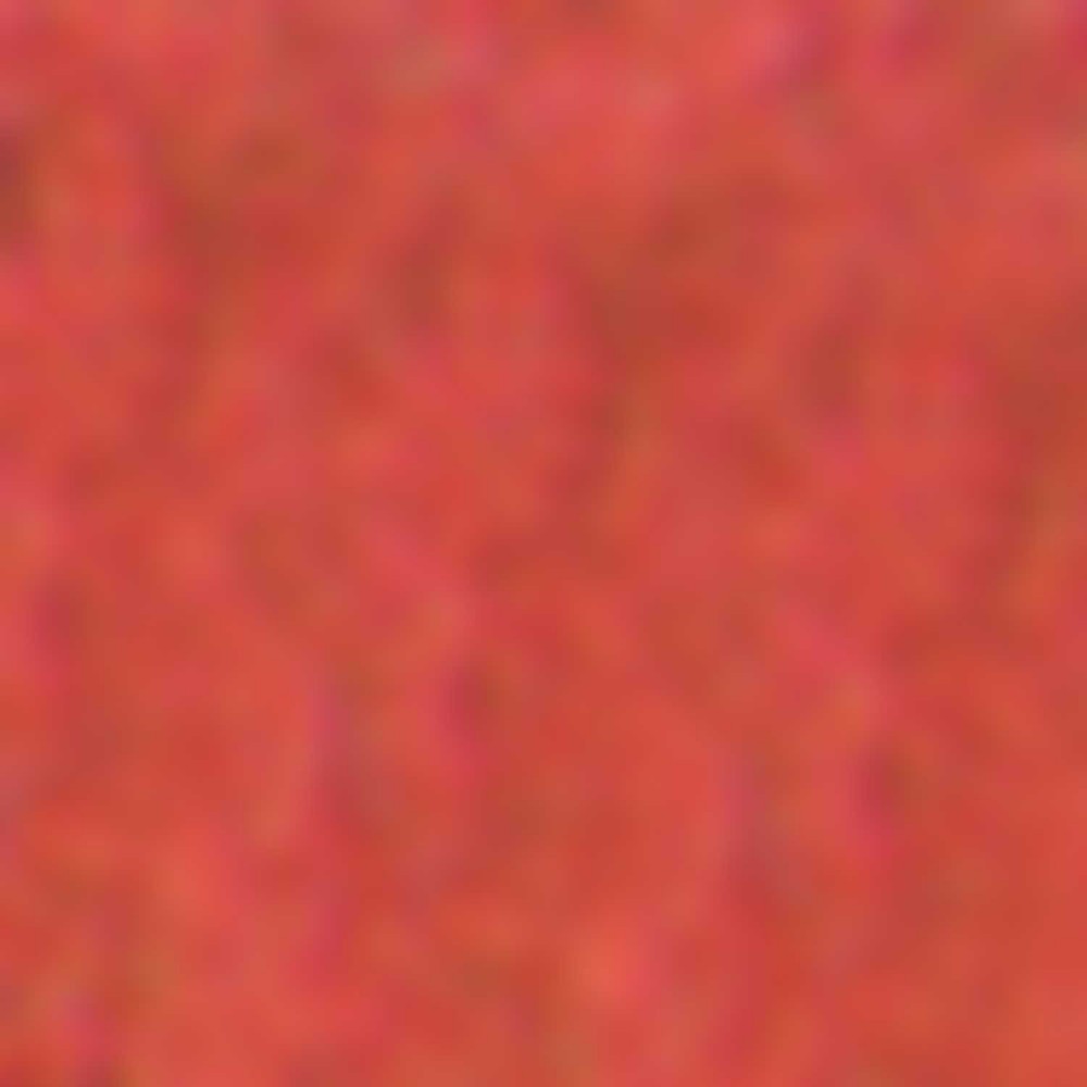 Lápiz de labios Leydi Bait