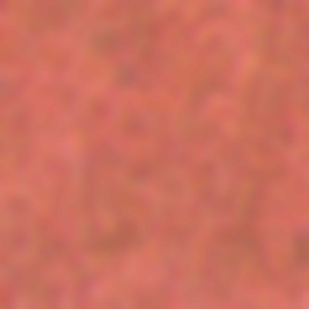 Lápiz de labios Leydi Bait