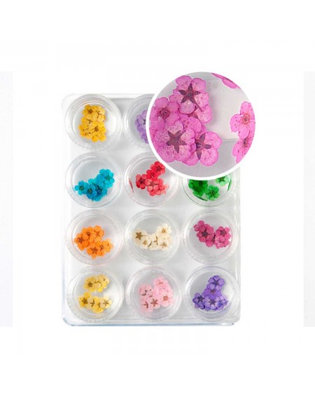 Decoración uñas Dried Flower Set Nº2