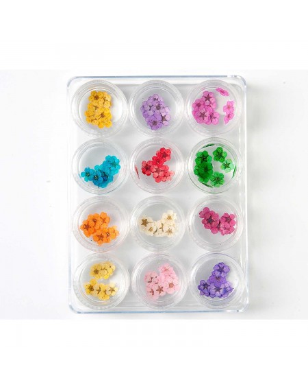 Decoración uñas Dried Flower Set Nº2 2