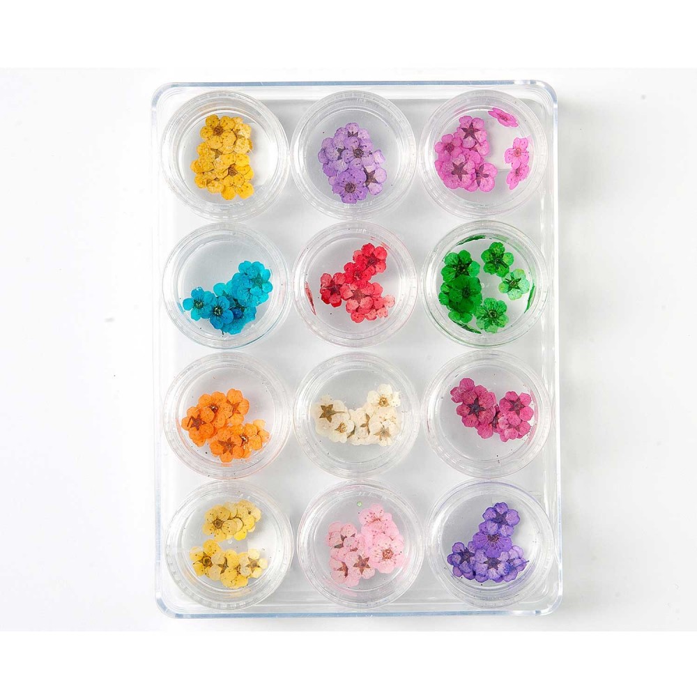 Decoración uñas Dried Flower Set Nº2