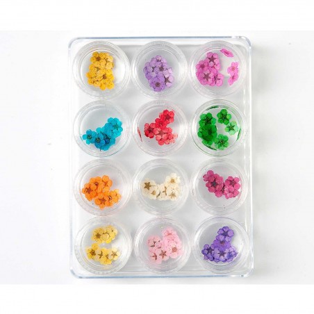 Decoración uñas Dried Flower Set Nº2