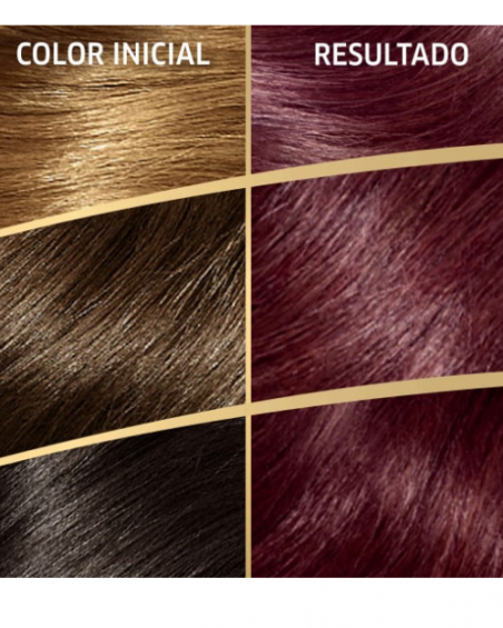 Tinte de pelo Castaño Medio Violín Intenso Nº 4.22 Caroprod