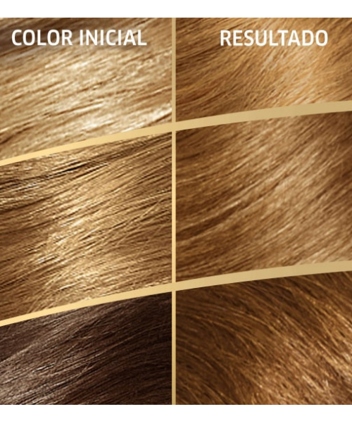 Tinte de pelo Rubio Medio Dorado nº 7.3 Caroprod
