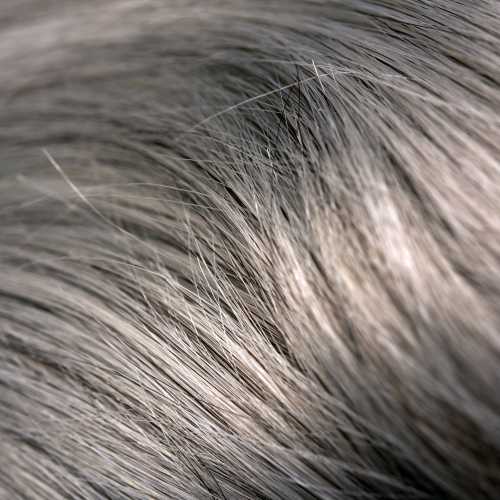 Espuma con Color para el Pelo Colour Mousse Tonology