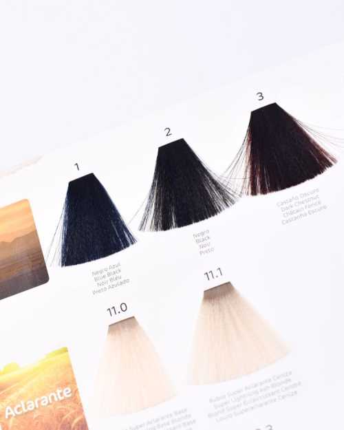 Tinte de pelo Negro Nº 2 Caroprod