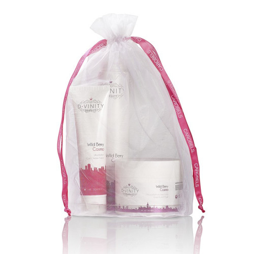Rutina Cuidado del Cabello Teñido D·VINITY Wild Berry Cosmo