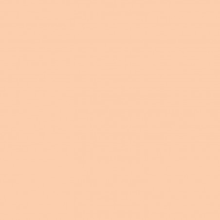 Maquillaje Pan Stick nº61 L.B.