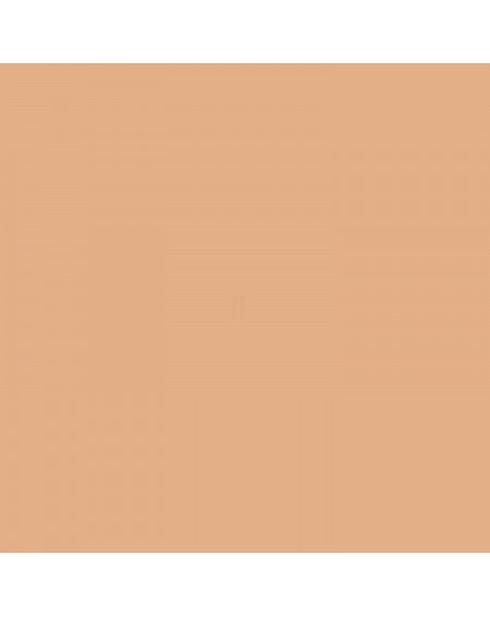 Maquillaje Pan Stick nº64 L.B. 2