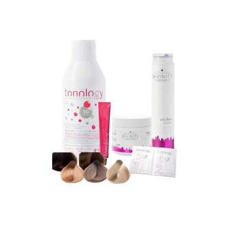 PACK BALAYAGE Y MECHAS PROFESIONAL 2